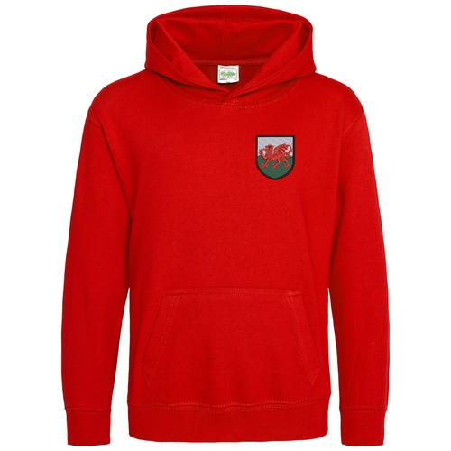 Embroidered retro wales badge - embroidered,