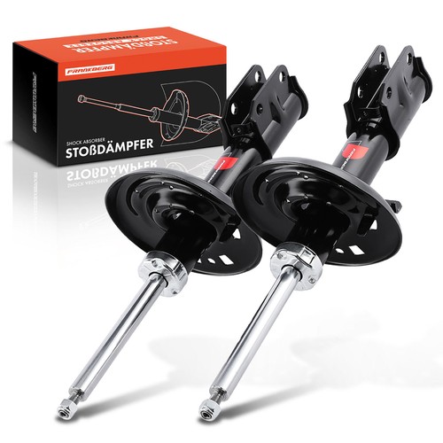 Gas shock absorber front - 2x,