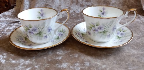Hudson middleton violets - middleton,