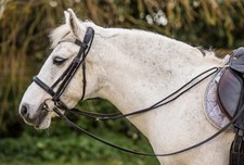 Equi Ami Grass Reins For Small Ponies