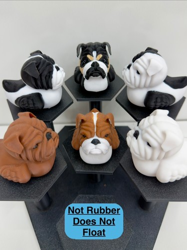 Bulldog dog duck - duck, english