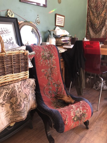 Original victorian horsehair - original,