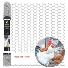 Galvanized Poultry Net -
