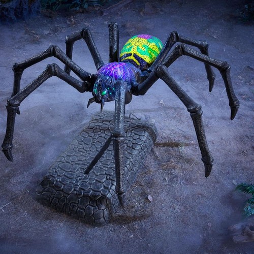 Creeping spider wicked - spider,