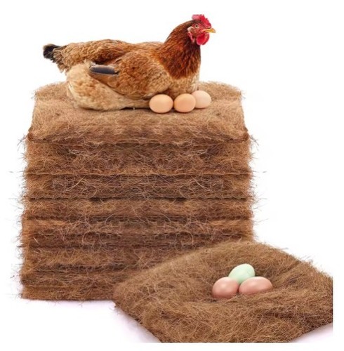 Pack chicken nest - 1&10,