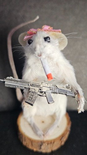 Taxidermy funny killer - taxidermy,