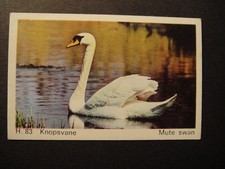 DANDY GUM WILD ANIMALS DANISH