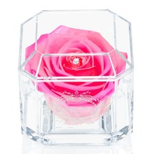 A 100% Real Rose That Lasts Years Eternal Petals Handmade in UK White Gold Solo
