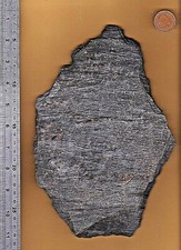 Interesting UK RECLAIMED worn slate stone 800g Art sign craft Dunbar Scotland