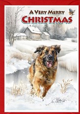 Leonberger Dog A6 (4" x 6")