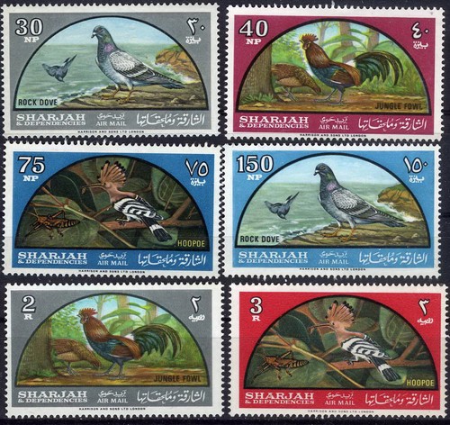 Sharjah 1965 colorful birds - sharjah,