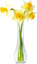 20Cm Tall Glass Flower Vase