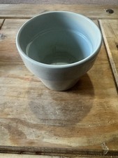 Eggshell Blue Ceramic Plant