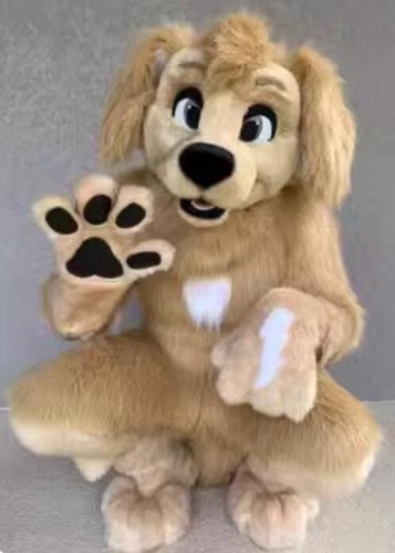 Long fur husky dog - fur,