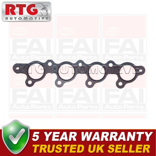 Exhaust manifold gasket - manifold,