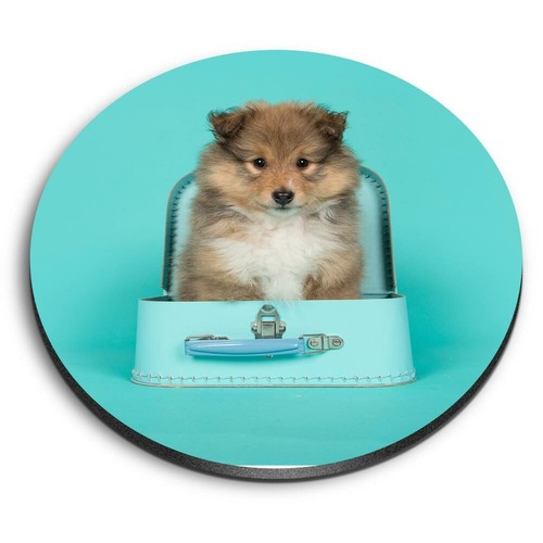 Round mdf magnets - round,