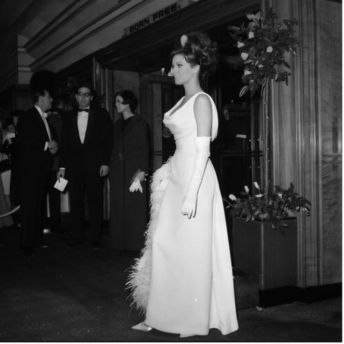 Raquel welch sexy busty - welch, 10x10