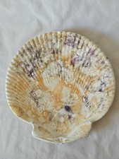 ANTIQUE WEDGWOOD MOONLIGHT LUSTRE QUEENS WARE SCALLOP SHELL PLATE, CIRCA 1810(D)