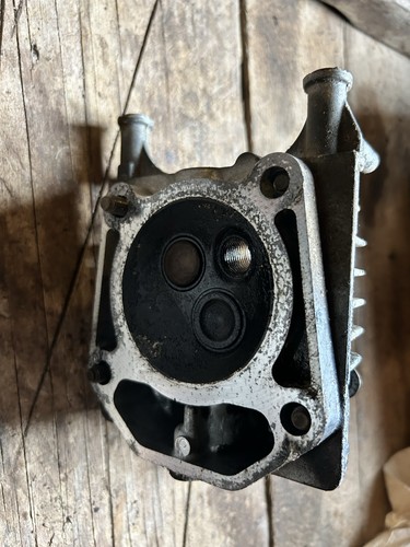 Briggs and stratton - briggs, series