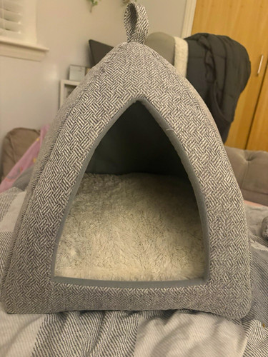Grey plush enclosed - plush, cat