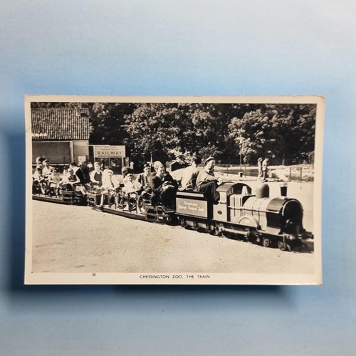 Chessington zoo postcard c1950 - chessington,