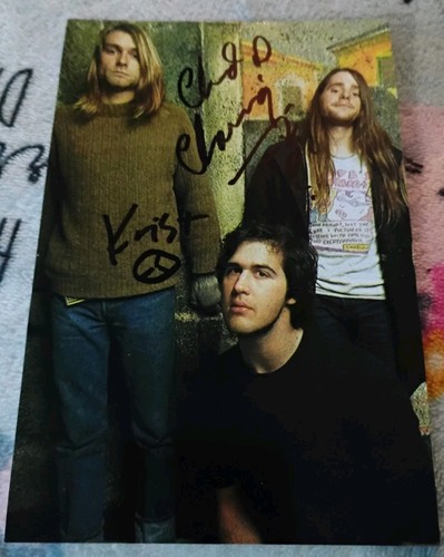 Nirvana krist novoselic chad - nirvana,