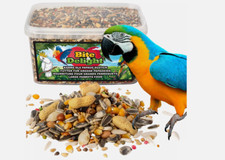 food for large parrots nutrition for macaws amazons african greys cockatoos vita