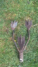 Vintage Wolf Cultivator Head