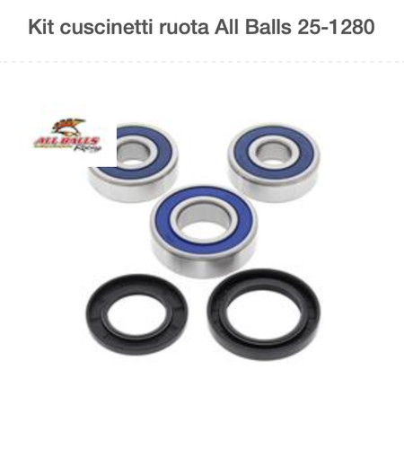 Rear wheel bearing series - bearing,