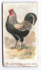 1891 Allen & Ginter Prize &