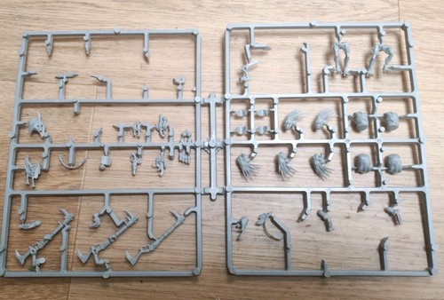Kroot carnivores tau sprue - kroot,