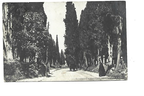 Turkey constantinople cemetery - turkey,