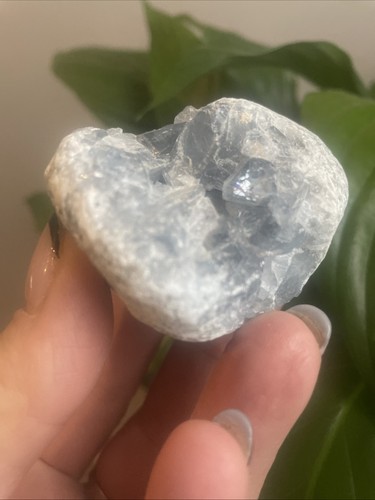 Celestite small cluster - cluster, geode