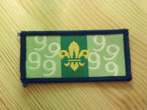 Scouting discontinued - scouting,