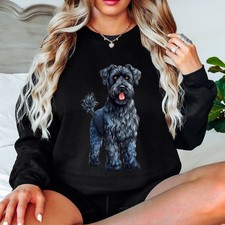 Black Schnauzer Dog Animal