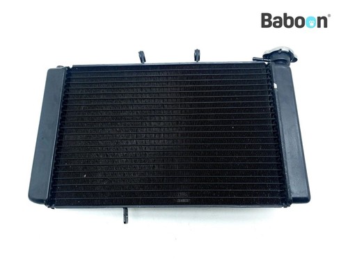 Radiator triumph tiger - radiator, 800