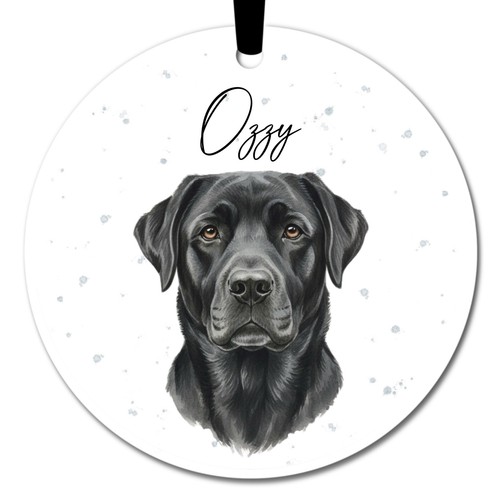 Labrador black dog - labrador,