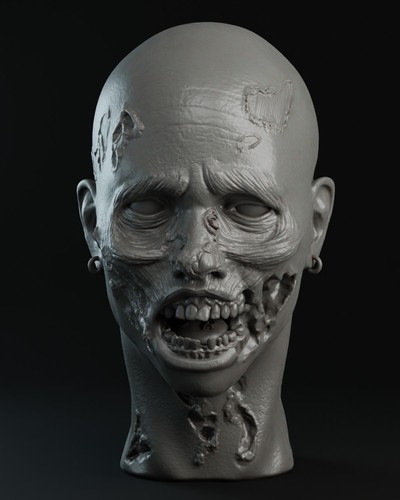 6th scale - ,