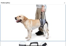 Dog Lifting Harness Back Legs Support Sling, L For Dogs With Reduced Mobility.