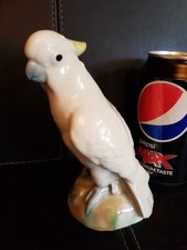 Wade - Cockatoo Spirit