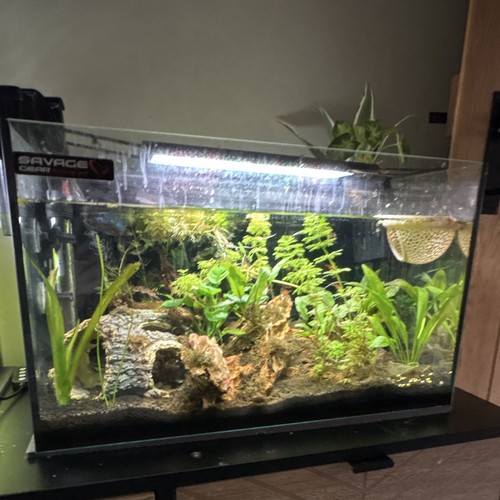 Glass rectangular fresh water - rectangular,