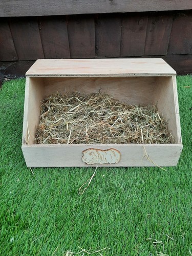 Guinea pig forage haybarn - pig, forage/