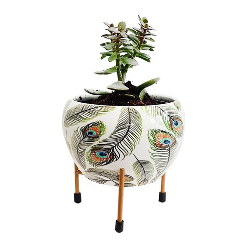 Plant pot for - plant, with