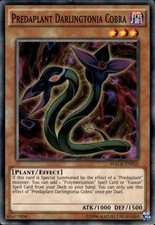 Predaplant Darlingtonia Cobra