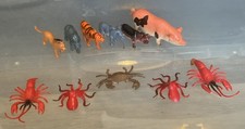 Children's Plastic Toy Animals