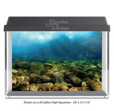 Sea Rocky Floor Sun Rays