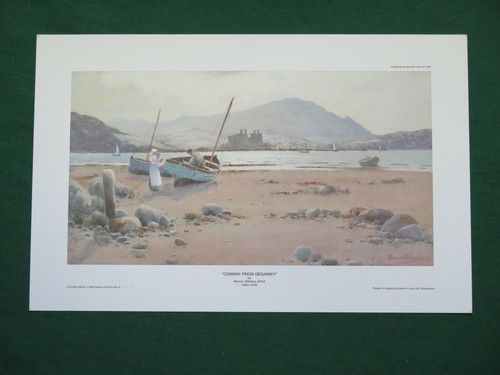 Large conway castle - large, (conwy)