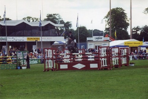 Photo 6x4 horse - photo, royal