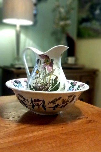 Vintage portmeirion botanic - vintage,