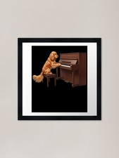Cocker Spaniel Playing Piano